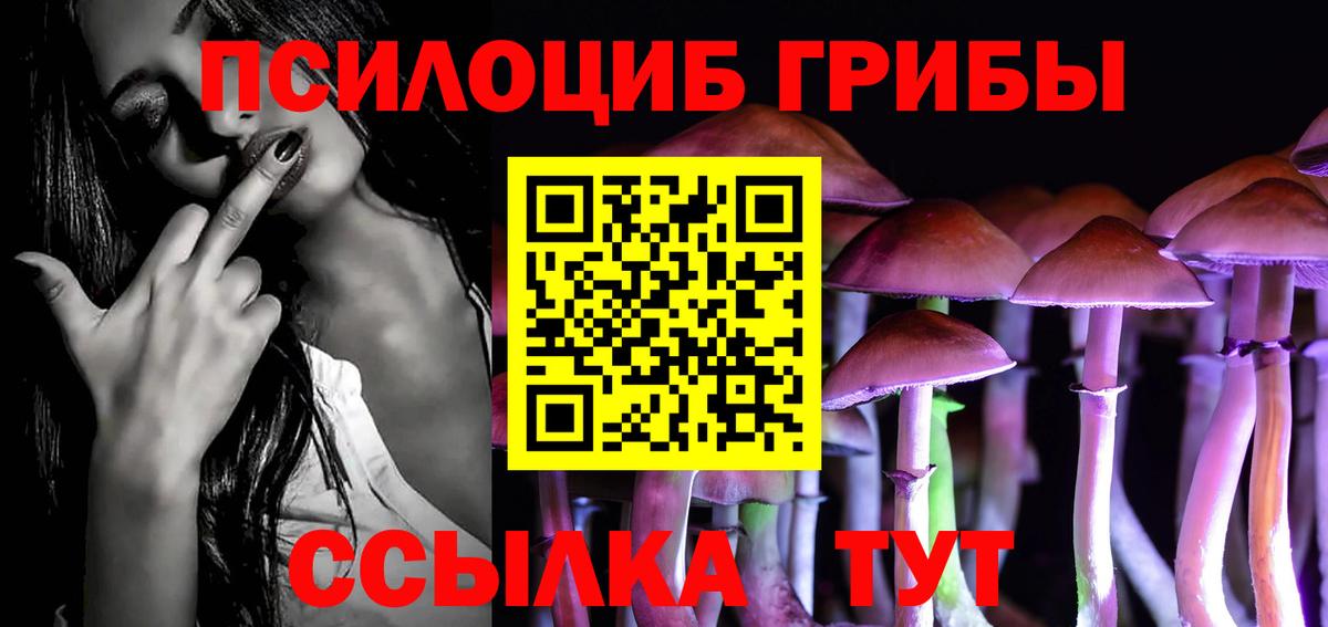 Галлюциногенные грибы Magic Shrooms  что такое   Удомля  Вход с VPN 